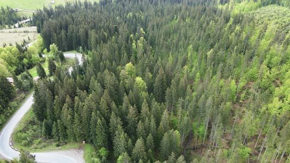 Ukraine, Carpathian Mountains: Road in the Mountains. Aerial