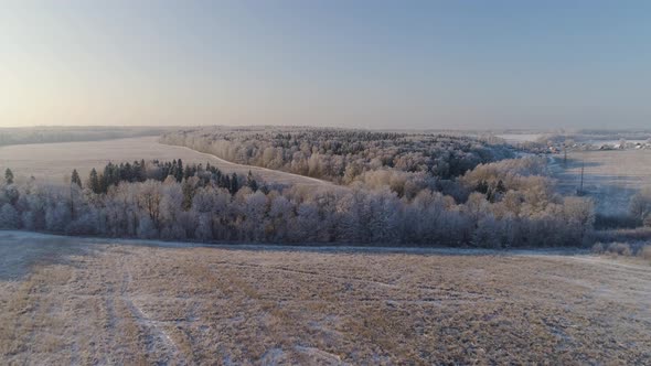 Winter Landscape in Countryside