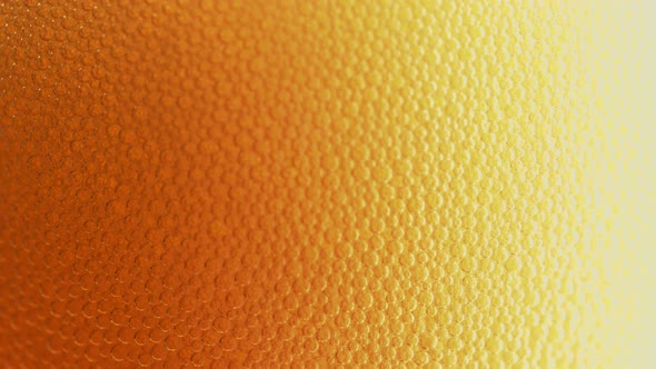 Beer Background24