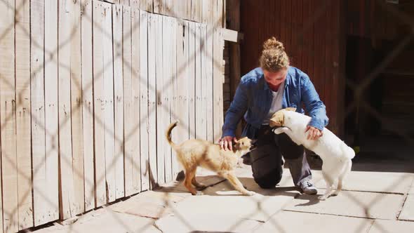 Dog in a shelter with volunteer