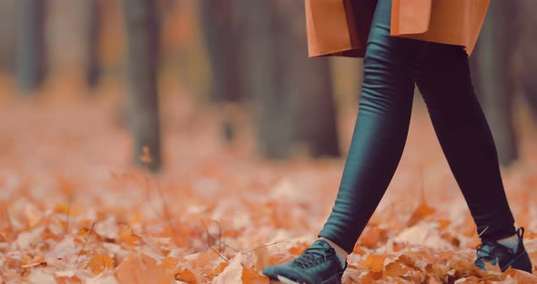 Girl Walking Autumn Foliage in the Park