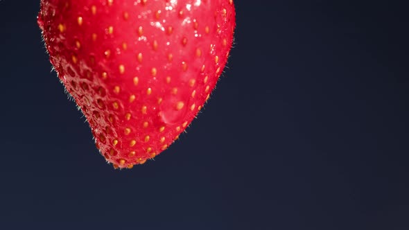 Red Strawberry Isolated on Black Background Juicy Ripe Berry Closeup Sweet Fresh Fruits