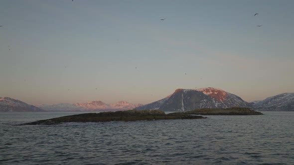 Seagulls Flying Overhead A Rocky Island Near Tromvik In Kvaloya, Norway In Winter - aerial shot