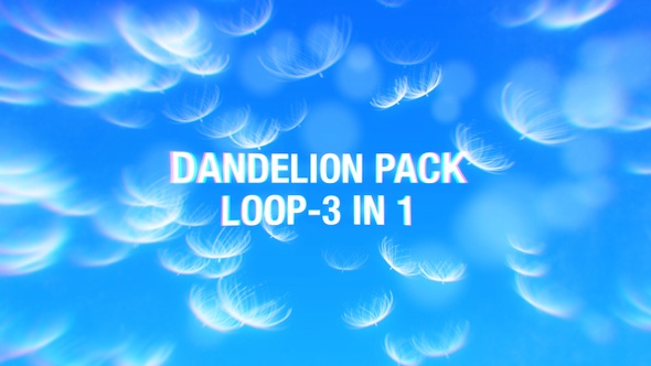 Dandelion Loop Pack 3 In 1