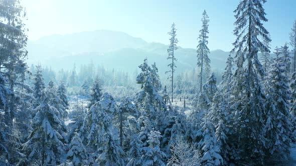 Winter in a Mountain Village