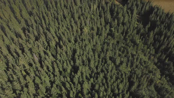 Aerial view of Mountain range and deep forest.