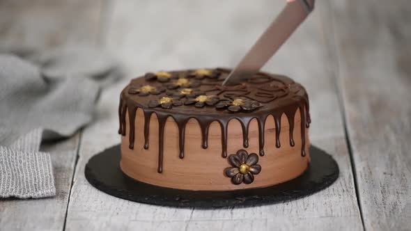 Confectioner hands cut by knife chocolate cake decorated with flowers.	