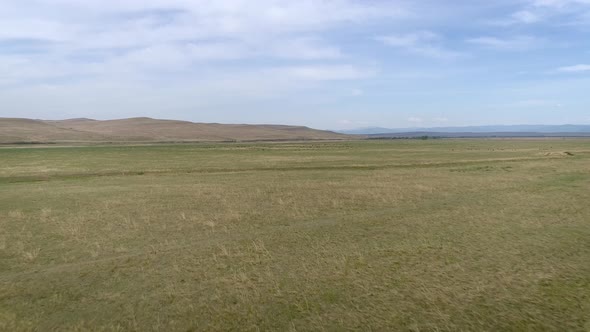 Spring Steppe In Siberia