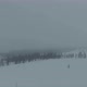Blizzard and fog in a pine forest covered by snow - VideoHive Item for Sale