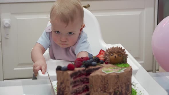 Baby Celebrate First Birthday Holiday Mother Cuts Pieces of Birthday Cake One Year Old Kid Against