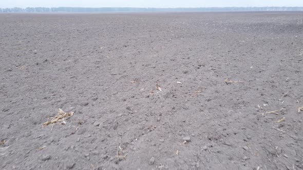 Land in a Plowed Field in Autumn