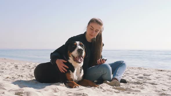 Young Female Playing with Great Swiss Mountain Dog on Beach and Using Smart Phone