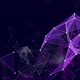 Purple Plexus Background  - VideoHive Item for Sale