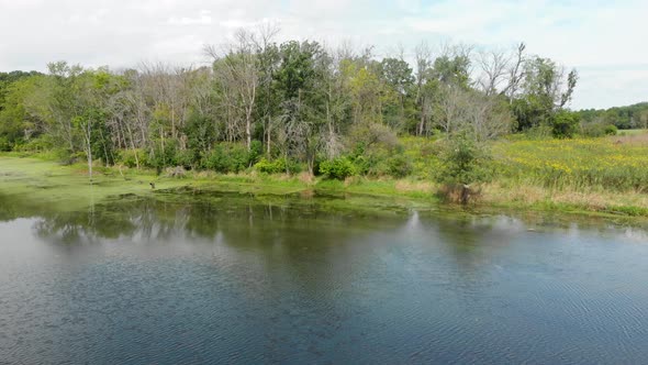 low drone flight over a lake toward treeline 4k birds eye pov