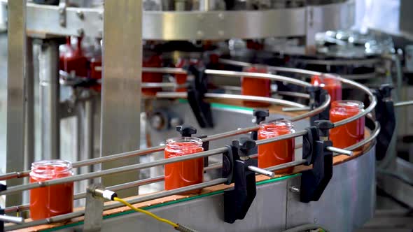 Automatic Line for Processing of Vegetables