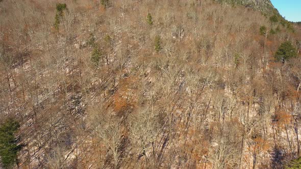 Aerial footage flying over the tree tops on the side of a mountain after a late fall snow