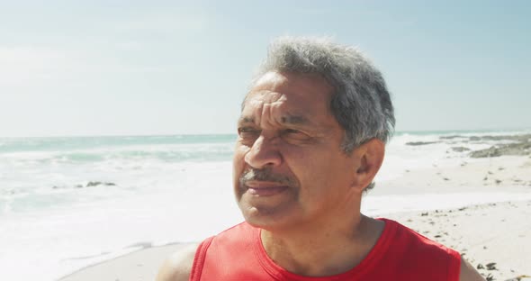 Portrait of hispanic senior man standing on beach and smiling