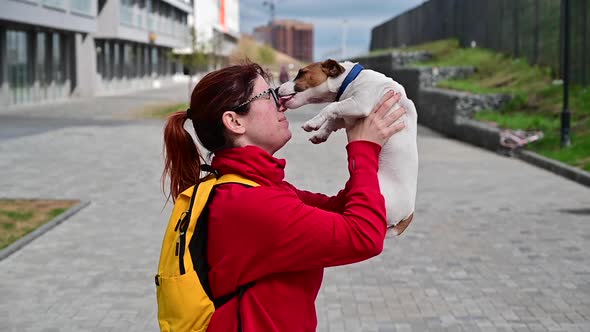 Slow Motion Video Funny Dog Jack Russell Terrier Licks the Face of Its Owner