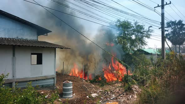 Destruction By Surface Fire While Dry Season