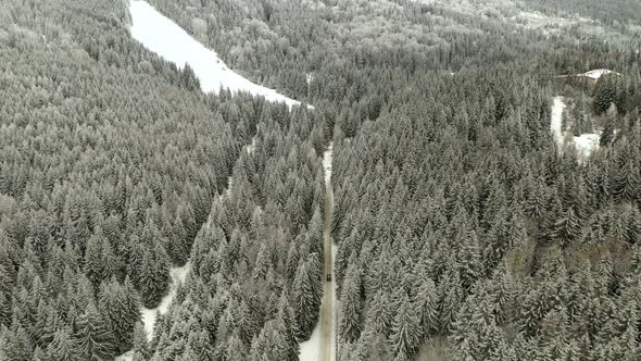 car driving on snowy mountain road in winter pine forest, aerial