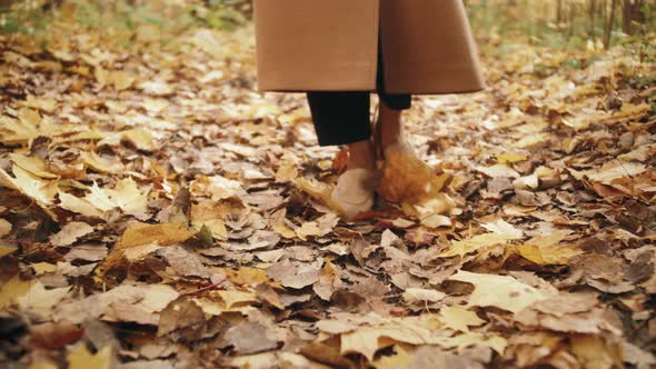 Legs of Woman Walking in Autumn Park