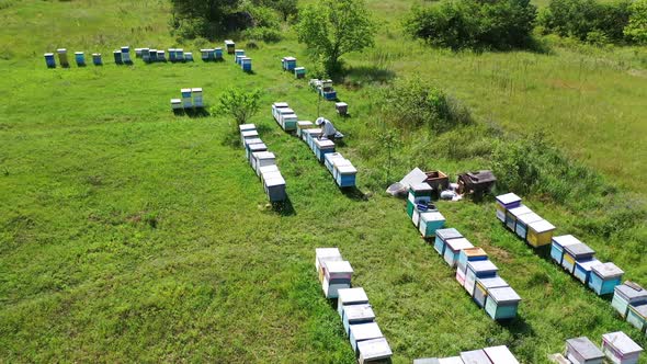 Beehive boxes on a bee farm.