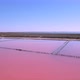Aerial View Of The Salty Pink Lake. Lemuriyske Lake, Ukraine 2 - VideoHive Item for Sale