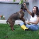 Woman Play With Dog in the Garden - VideoHive Item for Sale