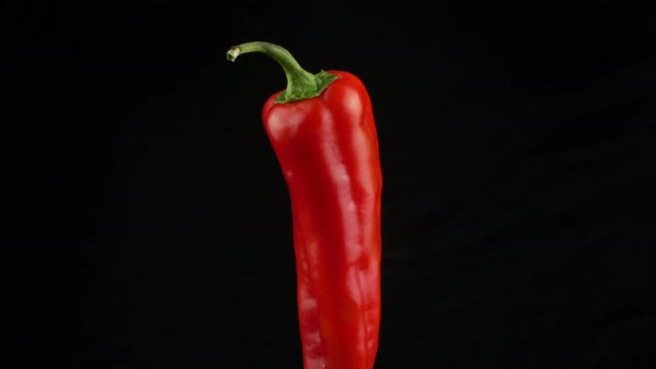 Hot red chilli pepper