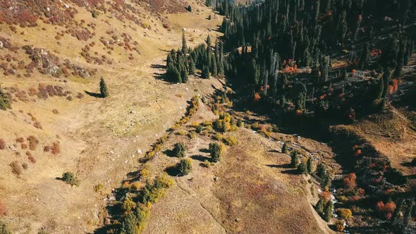 Autumn in the Mountains