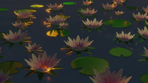 Pond Water Lilies And Fireflies