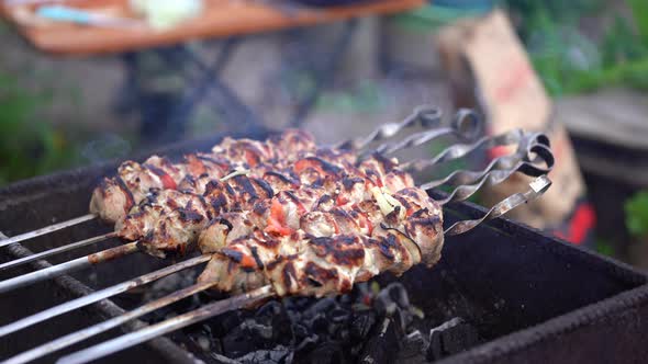 Close Up of Toasted Shashlik on Skewers. Succulent Barbecue Roasting on Chargrill. Concept of Picnic
