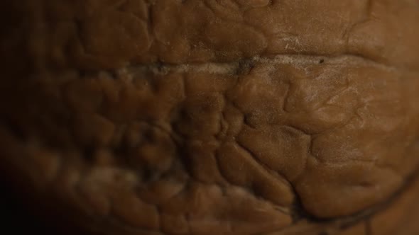 Cinematic, rotating shot of walnuts in their shells on a white surface - WALNUTS 