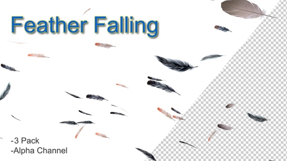 Feather Falling 4k alt