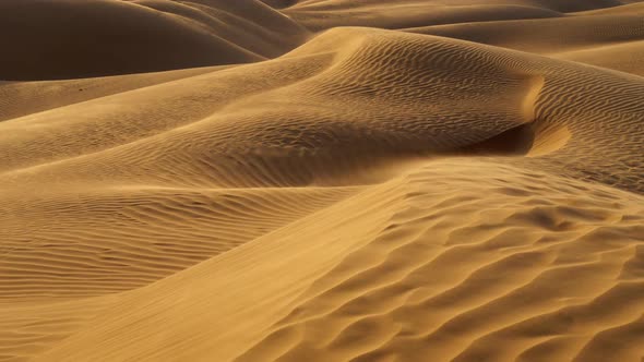 Sunset in Desert. Sand Is Waving in the Wind in Sandy Dunes in a Desert. The Dunes Are Covered with