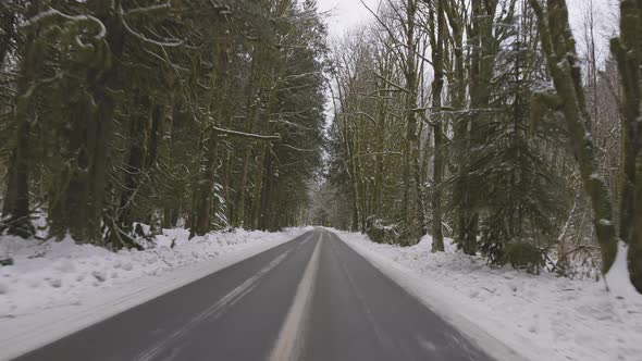 Scenic Road in the Canadian Nature Forest with Snow During Winter