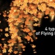 Flying Leaves Revealer - VideoHive Item for Sale