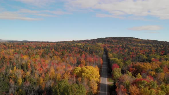 Aerial flight over straight road through colorful fall trees on the east coast