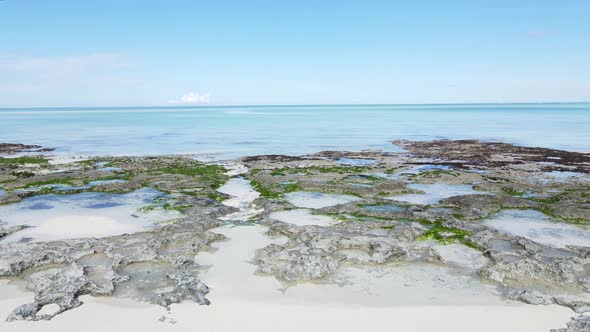 Indian Ocean Near the Shore of Zanzibar Tanzania