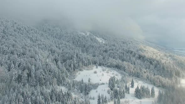 Aerial Snow Covered Trees Drone Footage Landscape Winter Nature Beautiful Europe Forest Mountain