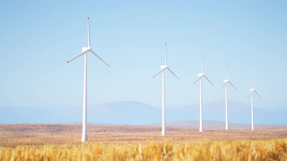 Wind Turbines In The Field alt