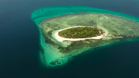 Tropical Island with Sandy Beach