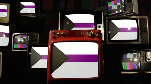 Demisexual Pride Flags on Retro TVs.