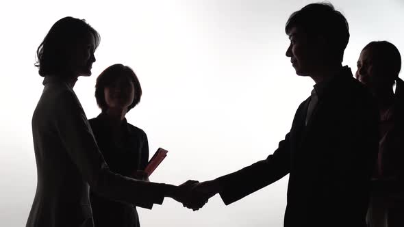 silhouette of business people shaking hands consultant greeting clients with partnership deal 