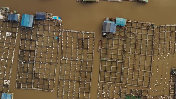 Flying over floating fish farms in China