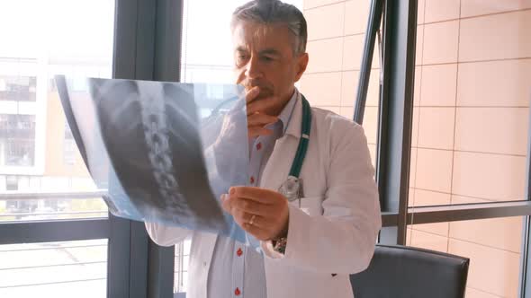 Doctor checking a x-ray report