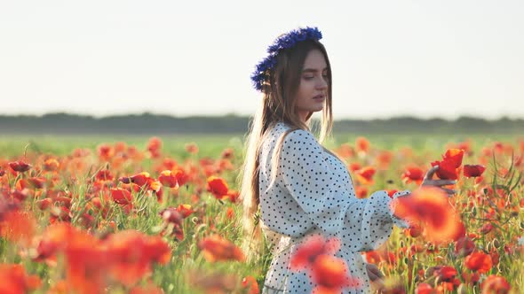 A Russian Girl with a Blue Wreath of Cornflowers Poses in a Field of Poppies