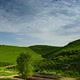 Vineyard Landscape of Piedmont - VideoHive Item for Sale