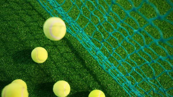 Overhead view of tennis balls on grass