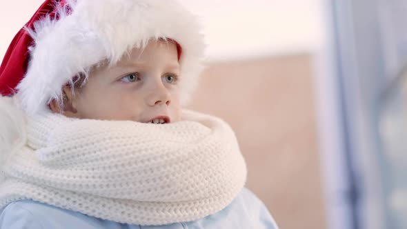 Boy in Santa Hat with Gifts Box Looking and Dreaming in Christmas Window Shopping on Traditional